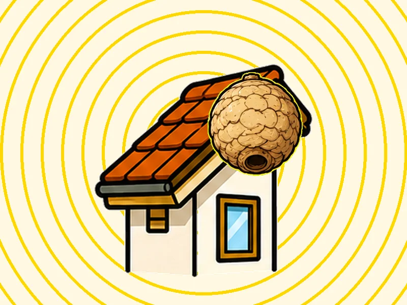 軒下の蜂の巣(作業前)